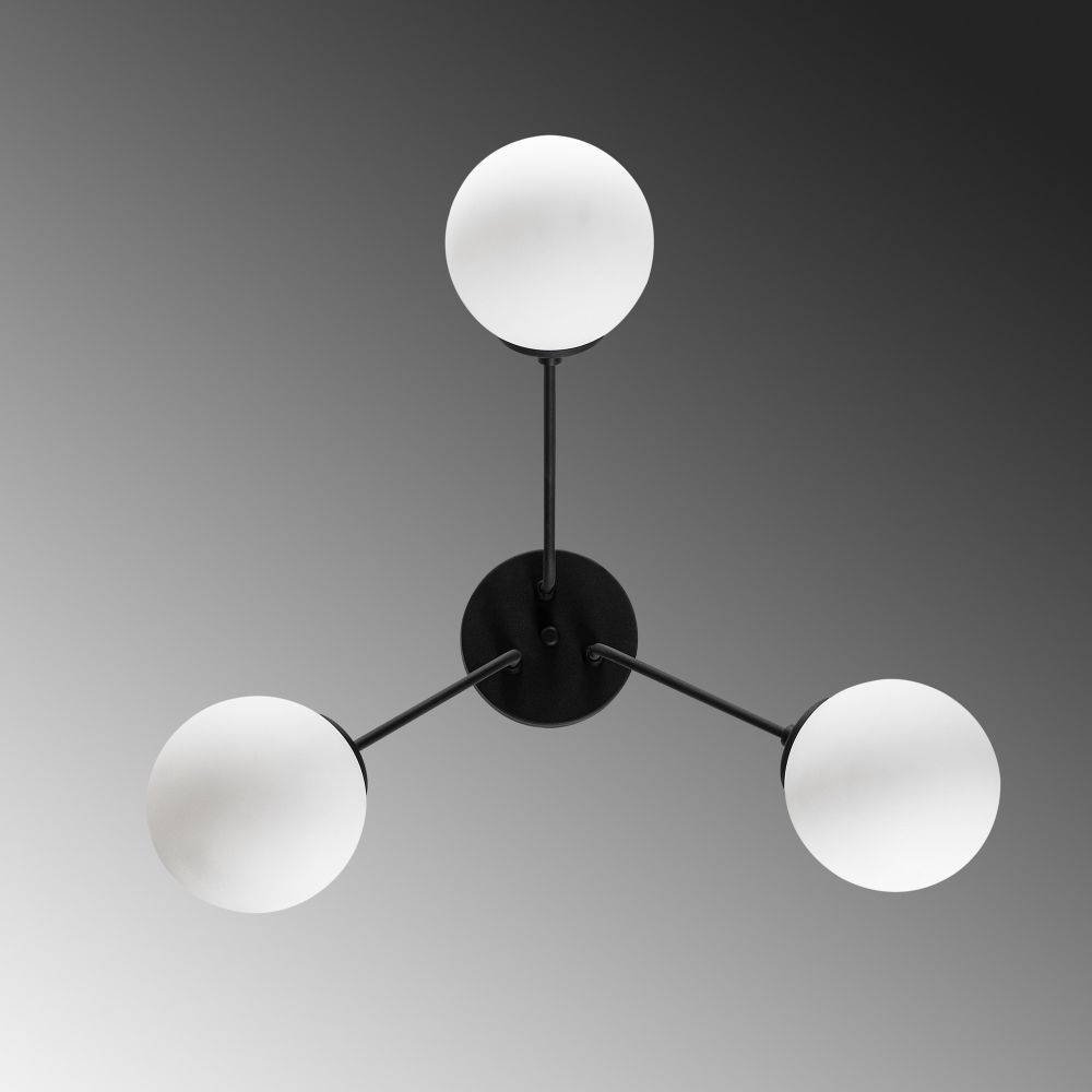 Orıon - Crni Luster 13955 slika 7
