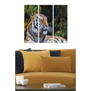 Dekorativna Slika od MDF-a u Više Boja (Set od 3 Komada) - MDF143872247