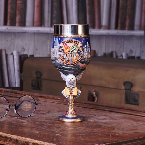 Nemesis Now Harry Potter Hogwarts Collectible Goblet 19.5cm slika 5