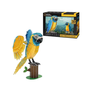 CubicFun CBF210977 3D Puzzle Papagaj