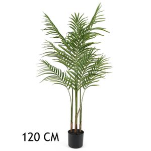 Lilium dekorativna palma Areka 120cm 567276 