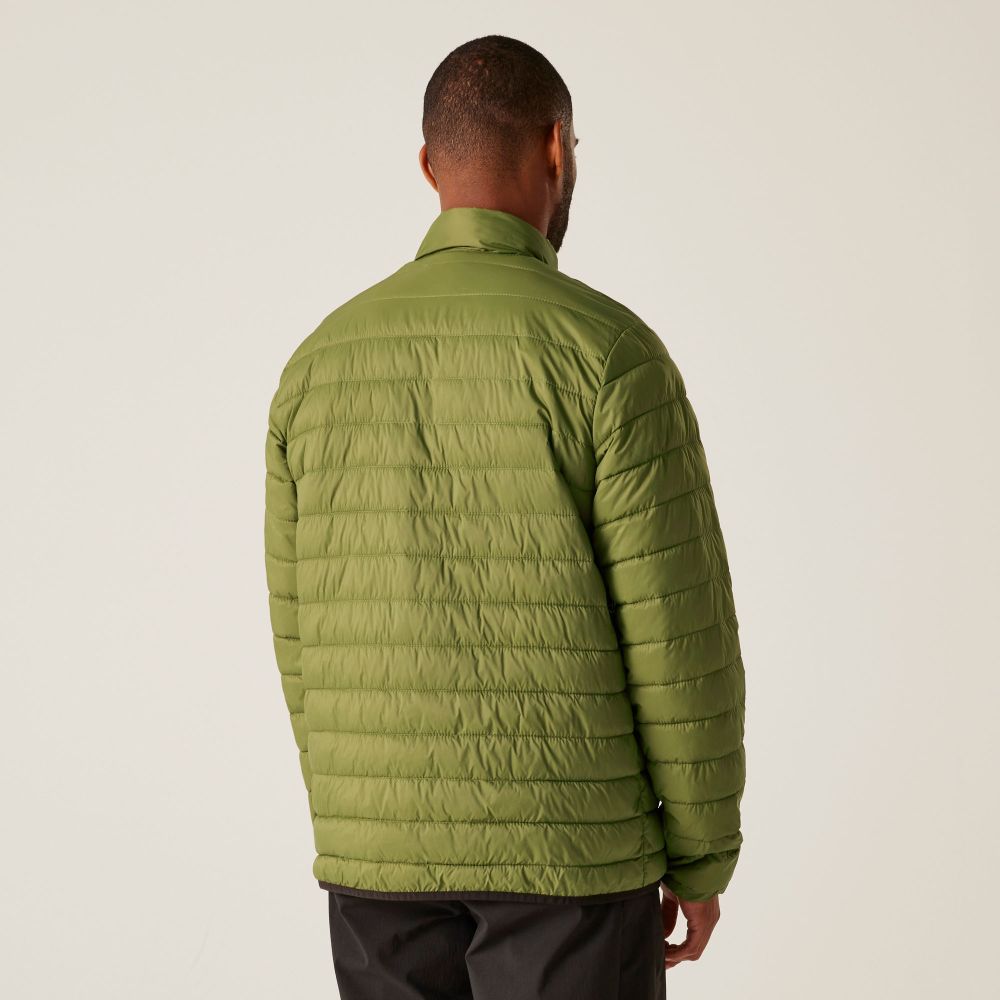 Regatta Muška jakna Hillpack II Nephrite Green/Grenoble Green L slika 5