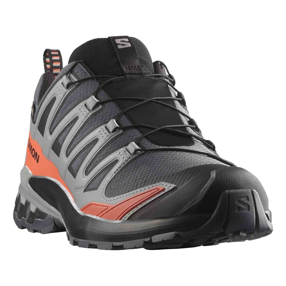 Salomon Muške patike XA Pro 3D V9 GTX, Turbulence/Black/Burnt Ochre slika 3