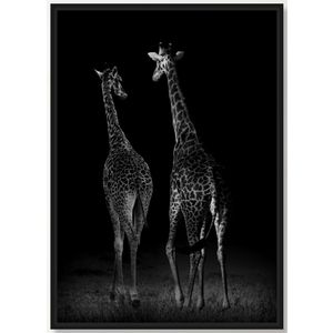 SLIKA 27x37 sa ramom - 31020 - Giraffe