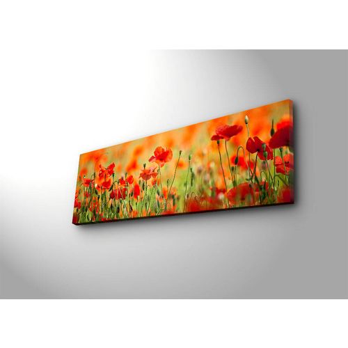 3090İACT-13 Multicolor Decorative Led Lighted Canvas Painting slika 4