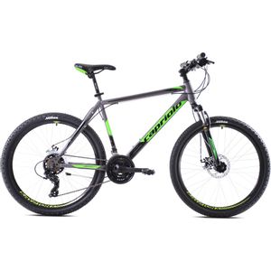CAPRIOLO bicikl MTB OXYGEN 29'/21HT silver -gr