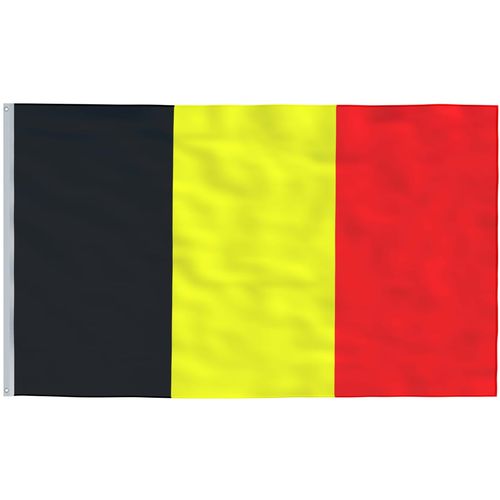 Belgijska zastava i jarbol 6,23 m aluminijski slika 4