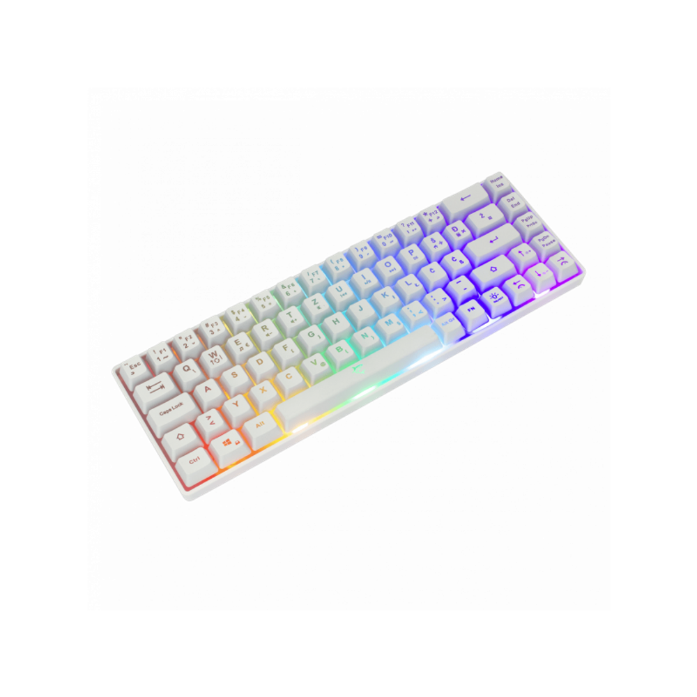 WHITE SHARK Tastatura GK-2201 RONIN / US, bijela slika 2