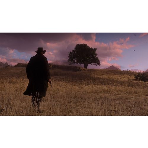 Red Dead Redemption 2 (Xbox One) slika 10