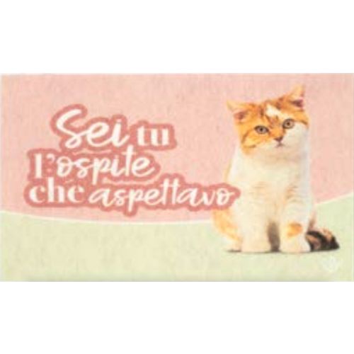 Olivo Tappeti Otirač PET HOME 40 x 65 cm, različiti motivi, OLIVO TAPPETI slika 1