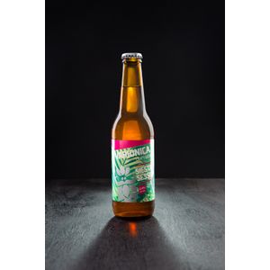 Craft pivo SIESTA SESSION IPA karton 24 kom