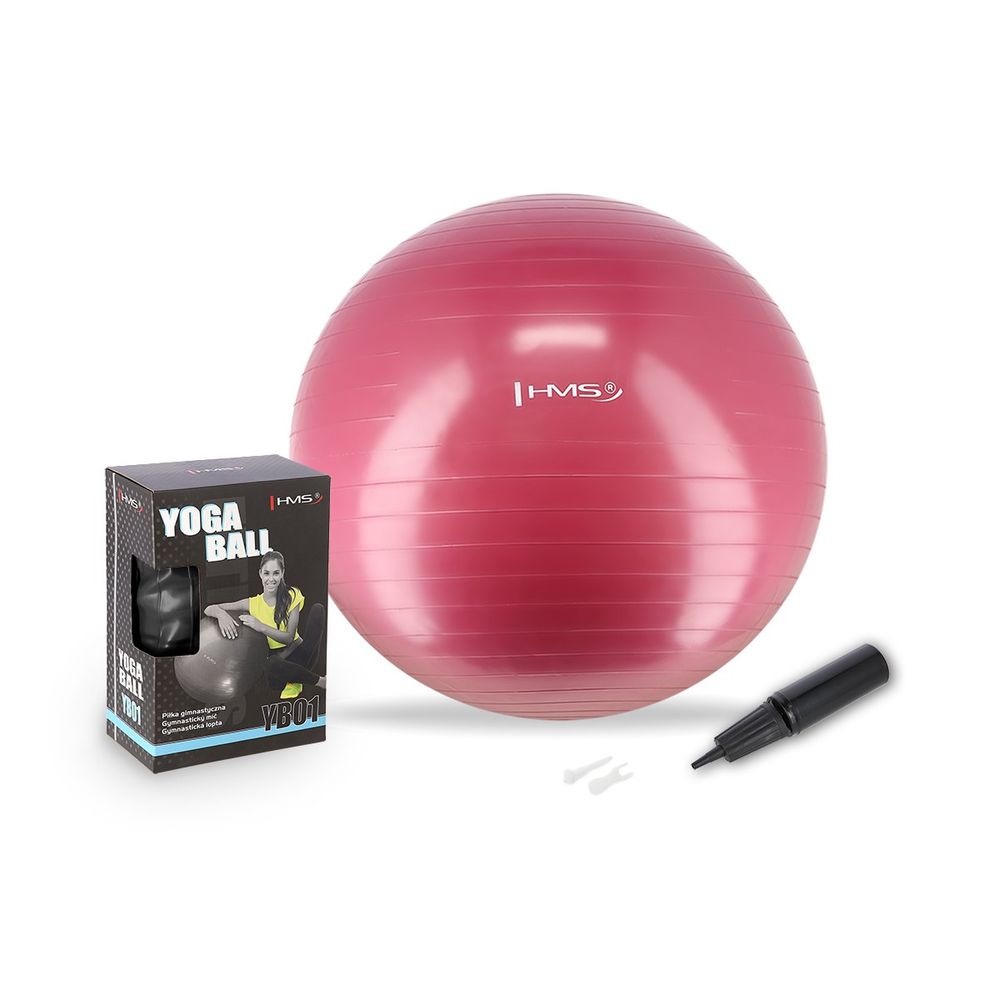 Yb01 nova 65cm plum gym lopta hms slika 1