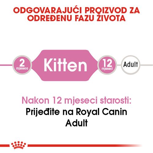 ROYAL CANIN FHN Kitten, potpuna i uravnotežena hrana za mačke, specijalno za mačiće u drugoj fazi rasta (od 4 do 12 mjeseci starosti), 10 g slika 8