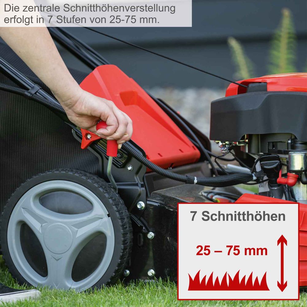 Scheppach Motorna samohodna kosačica kosilica MS173-51E 4.5 KS MS173-51E slika 4