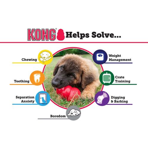 KONG Igračka za psa, Classic, Large, 10,16x7x7cm slika 3