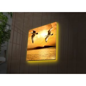 4040DACT-34 Multicolor Decorative Led Lighted Canvas Painting