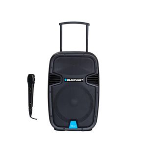 Blaupunkt profesionalni audio sistem PA12