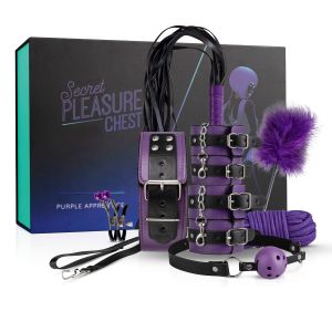 LoveBOXXX Secret Pleasure Chest - Purple Apprentice