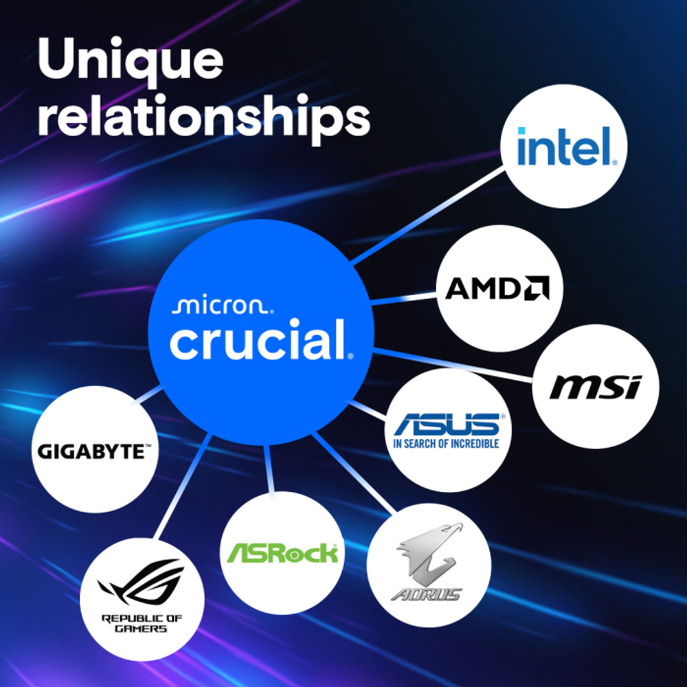Crucial Pro 24GB DDR5-5600 UDIMM CL46 1.1V slika 6