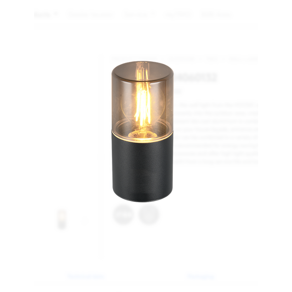 HOOSIC ZIDNA LAMPA BLACK,1XE27 slika 3