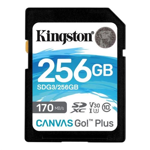 Memorijska kartica Kingston Canvas Go! Plus SD 256GB slika 1