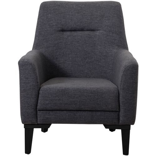 Liones-S - Anthracite Anthracite Wing Chair slika 3