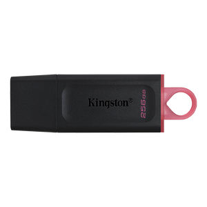 KINGSTON USB Flash memorija 256GB DTX/256GB