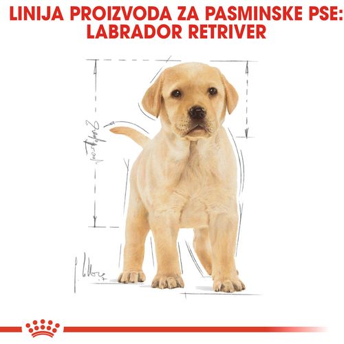 ROYAL CANIN BHN Labrador Retriever Puppy, potpuna hrana za štenad labrador retrievera do 15 mjeseci starosti, 12 kg slika 4