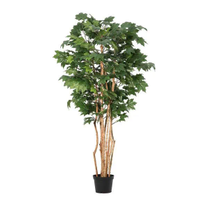 Bizzotto Kanadski javor 195 cm PVC