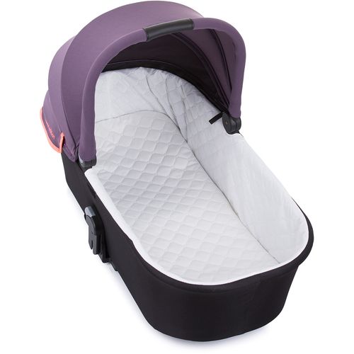 Chipolino kolica Elite Lilac slika 6