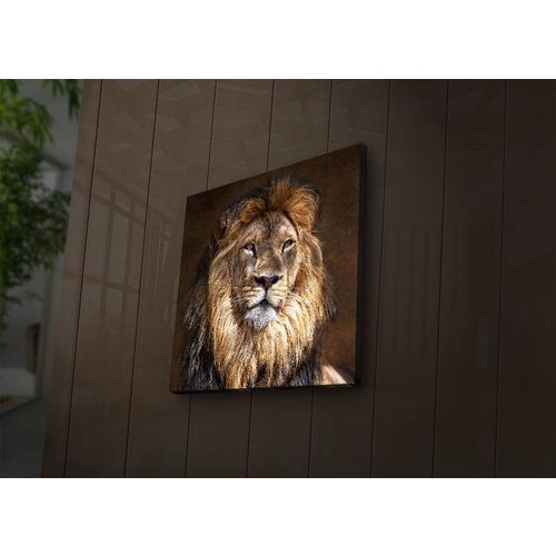 4040İACT-20 Multicolor Decorative Led Lighted Canvas Painting slika 3