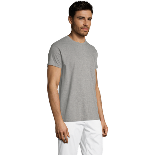 REGENT unisex majica sa kratkim rukavima - Grey melange, 3XL  slika 3