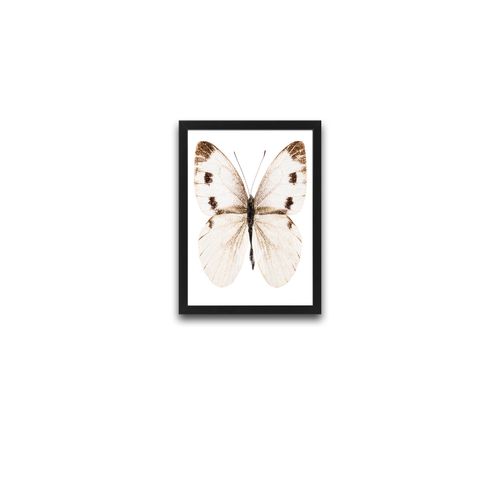 Wallity Uokvirena slika (2 komada), Beige Butterfly Set slika 4