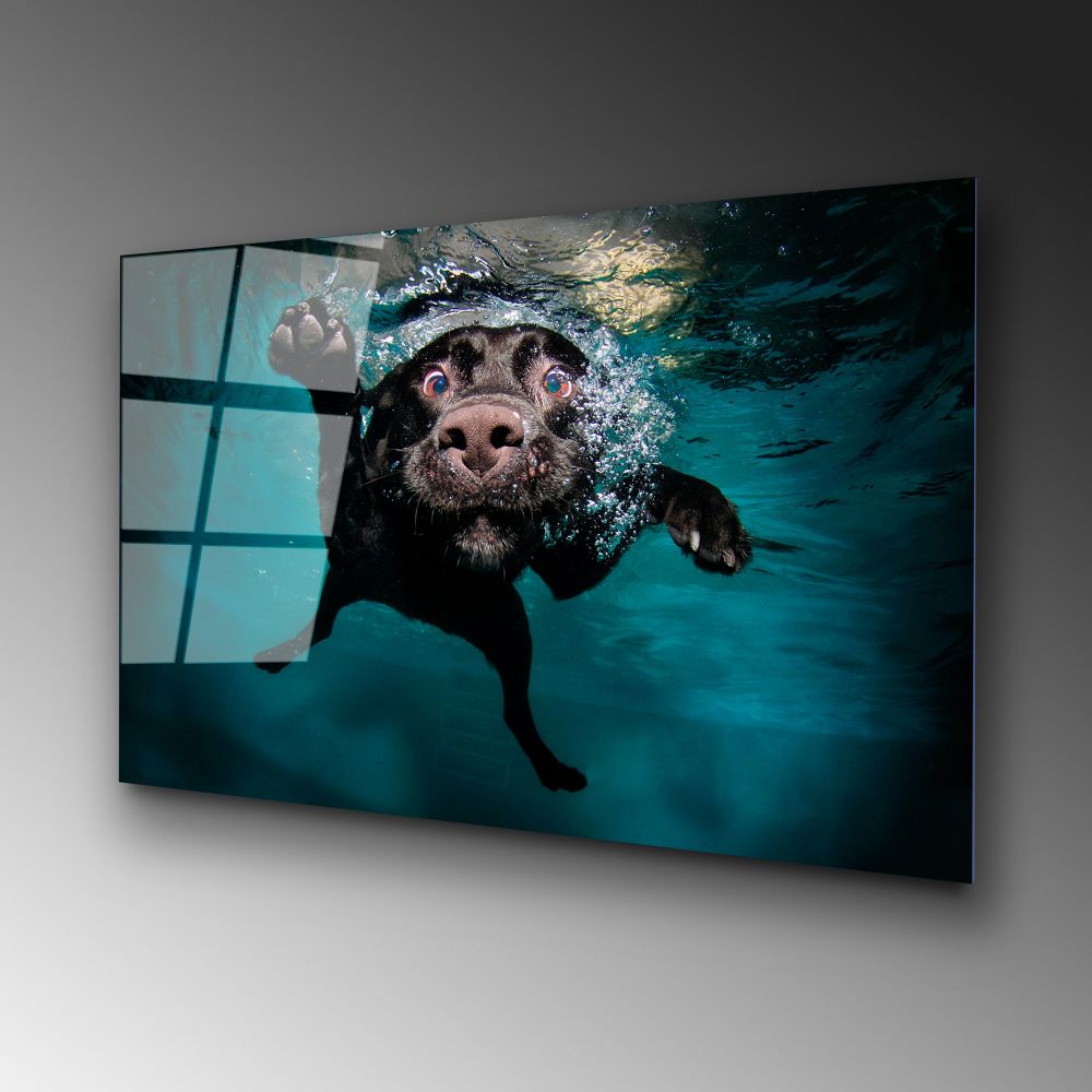 Dekorativna Slika na Kaljenom Staklu UV-166, 70 x 100 cm, Višebojna slika 4