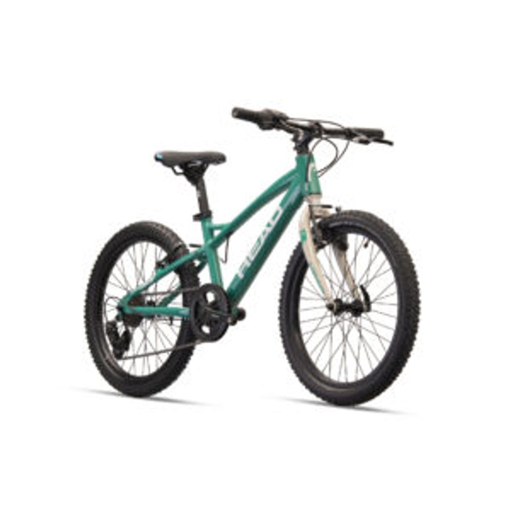 Head bicikl Ridott 1.6 20" H26950 slika 2