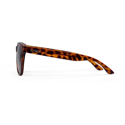 Ilanga Eyewear sunčane naočale Spicy Classic brown, yellow tortoise slika 3
