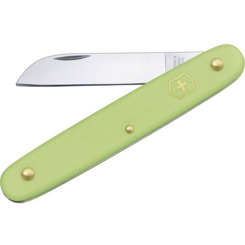 Victorinox EcoLine 3.9050.47B1 nož za kalemljenje   pastelno-zelena slika 1