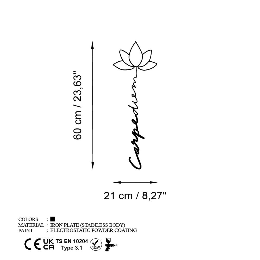 Decorative metal wall accessory Carpe Diem 4, colour: black slika 6