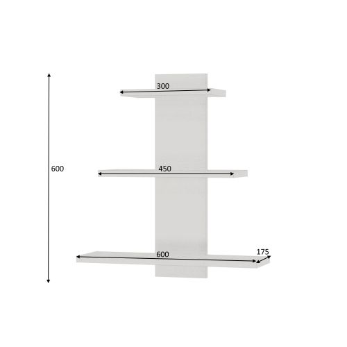 Gauge Concept Zidna polica Karya Levi slika 2