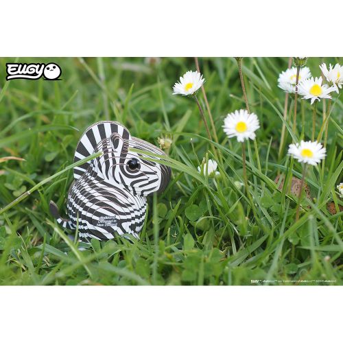 Eugy - Zebra slika 5