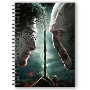 Harry Potter Harry vs Voldemort A5 3D bilježnica