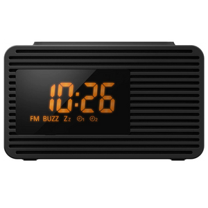 Panasonic Radio sa satom RC-800EG-K