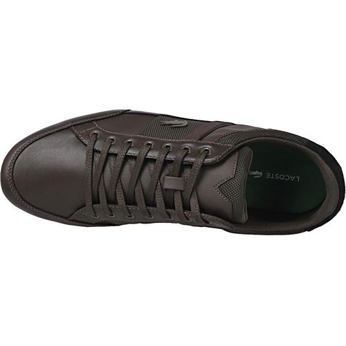 Lacoste chaymon 116  spm0080257 slika 3