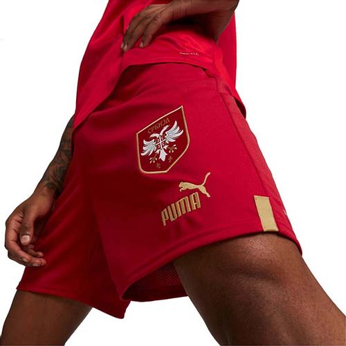 765770-01 Puma Sorc Puma Fss Shorts Replica 765770-01 slika 3