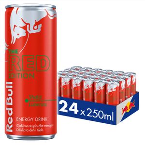 Red Bull Watermelon limenka 24x250ml XXL