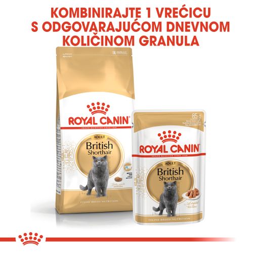 ROYAL CANIN FBN British Shorthair, potpuna i uravnotežena mokra hrana u umaku za odrasle mačke, specijalno za britanske krtkodlake mačke starije od 12 mjeseci, 12x85 g slika 2