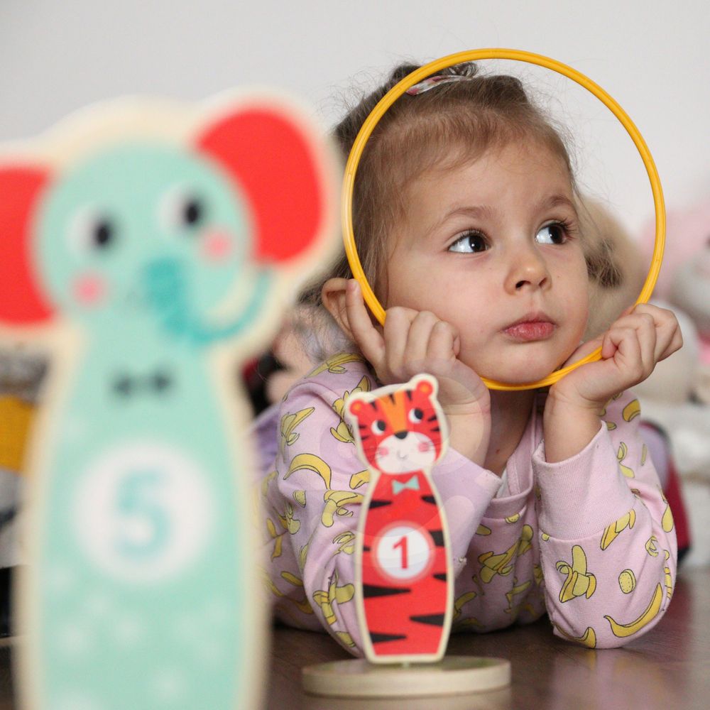 Tooky toy drvena arkadna igra baci u metu životinje 15 kom. slika 5