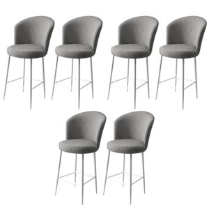 Fora - Sivi, Bijeli Bar Stolac Set (6 Komada)