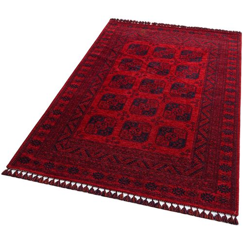 Bhr 01 - Red  Red
Dark Blue Carpet (160 x 230) slika 3