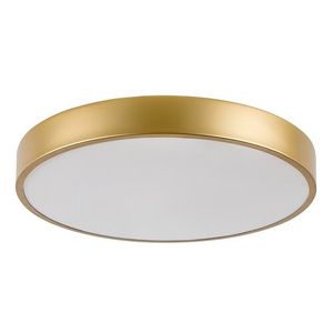 Rabalux Tesia LED plafonjera  71037